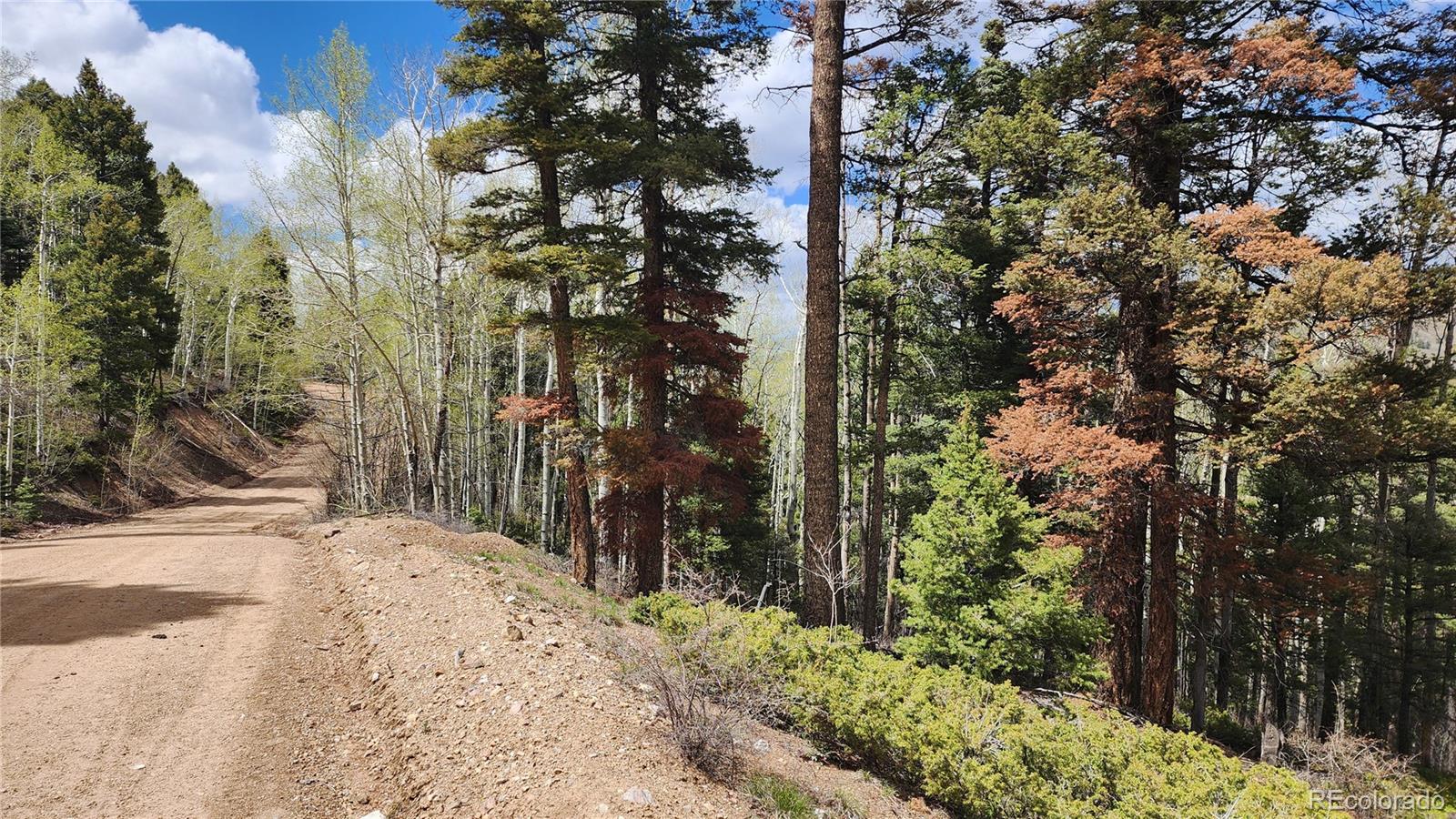 6338 Aragon Road San Luis CO 81152