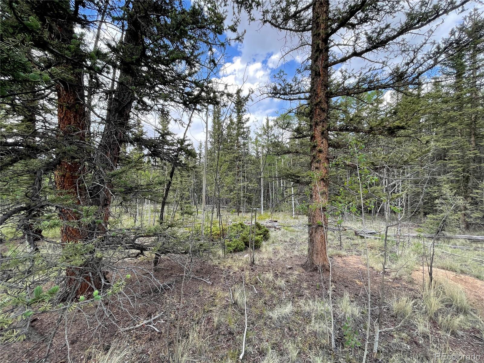 80 Haida Way Jefferson CO 80456