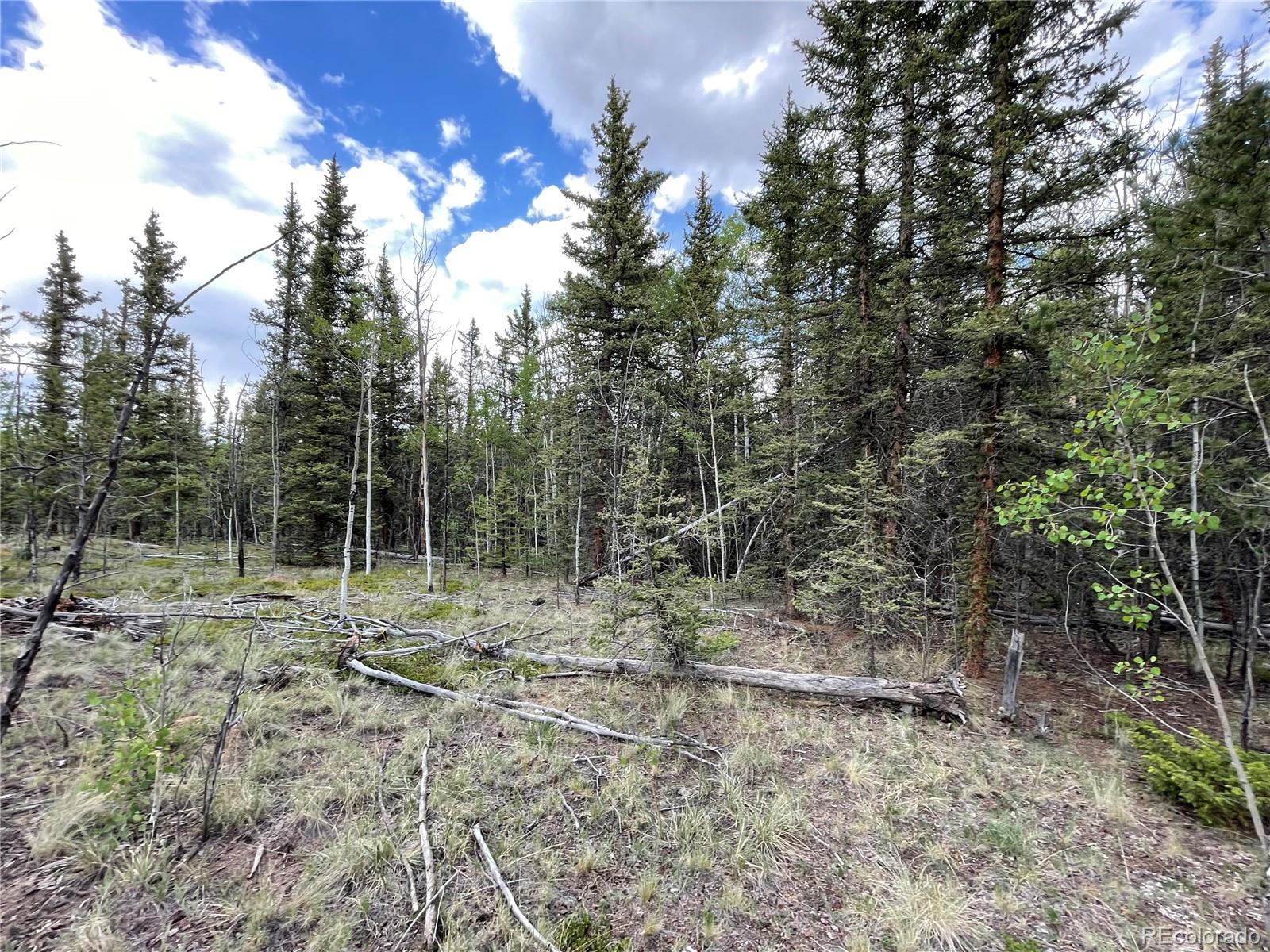80 Haida Way Jefferson CO 80456