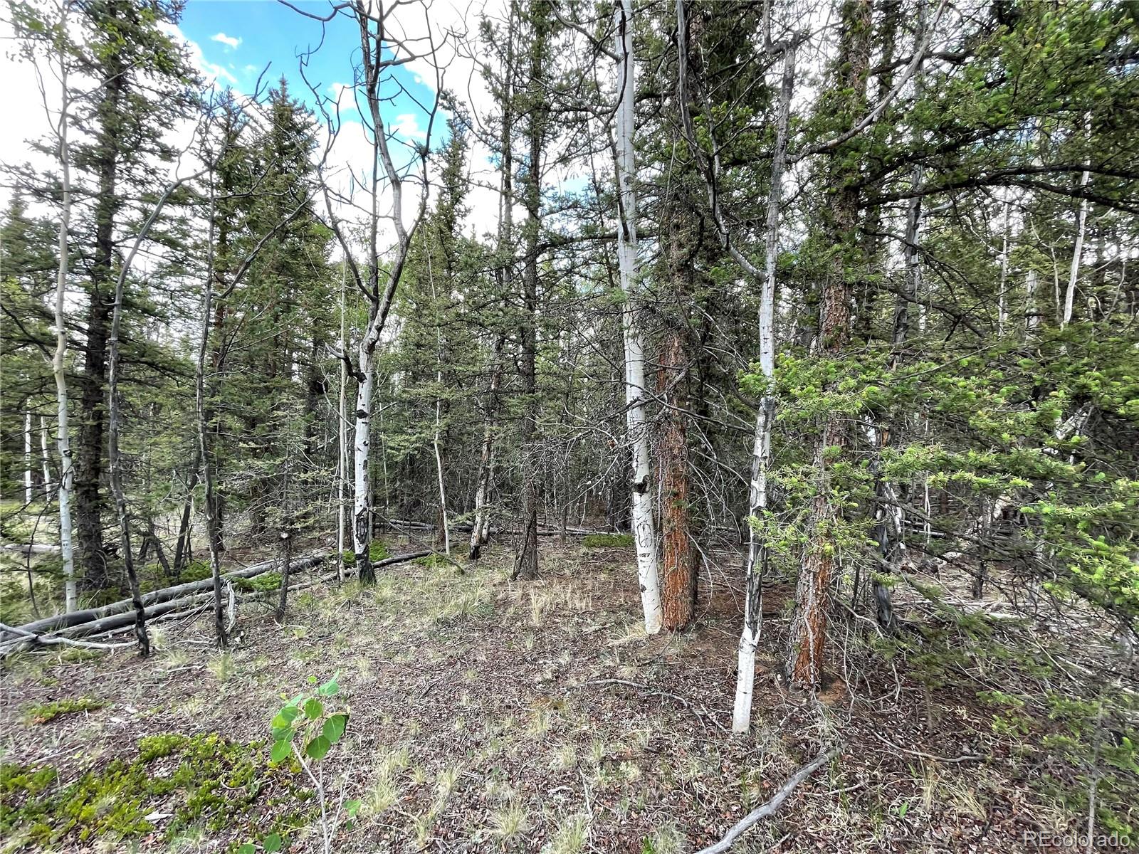 80 Haida Way Jefferson CO 80456