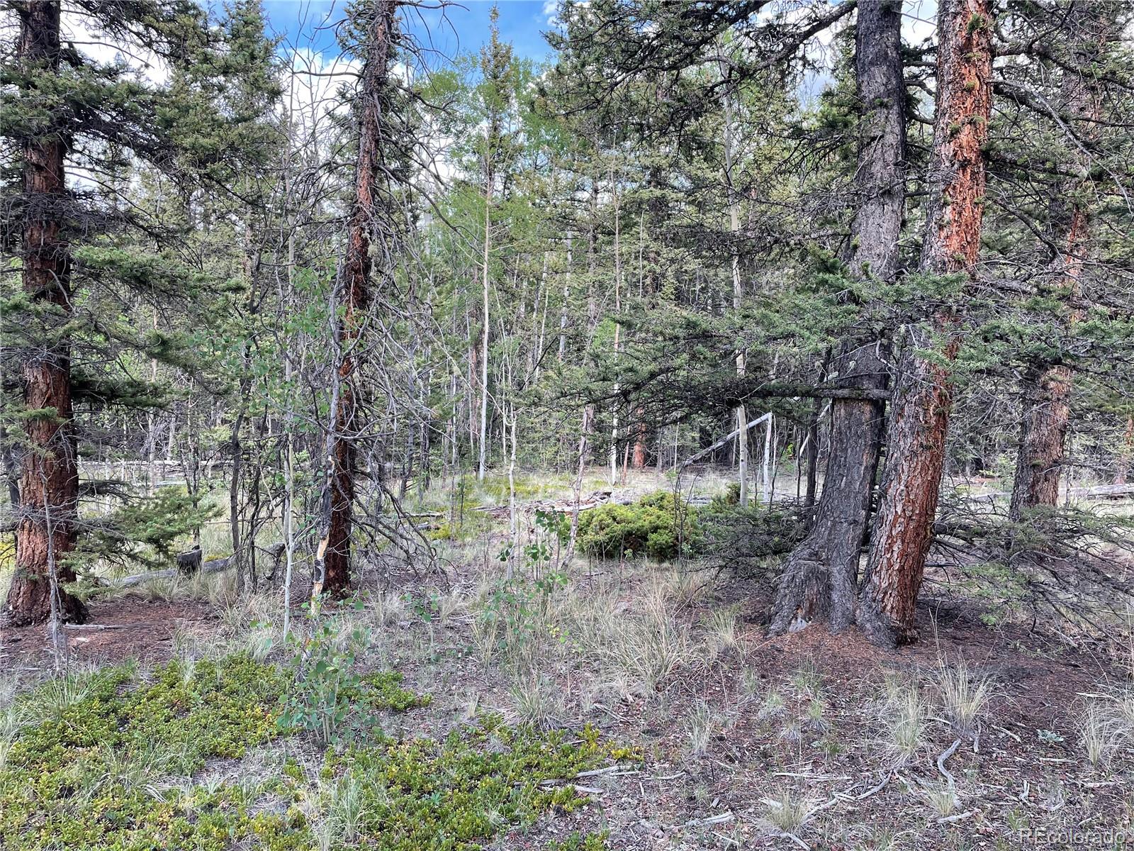 80 Haida Way Jefferson CO 80456
