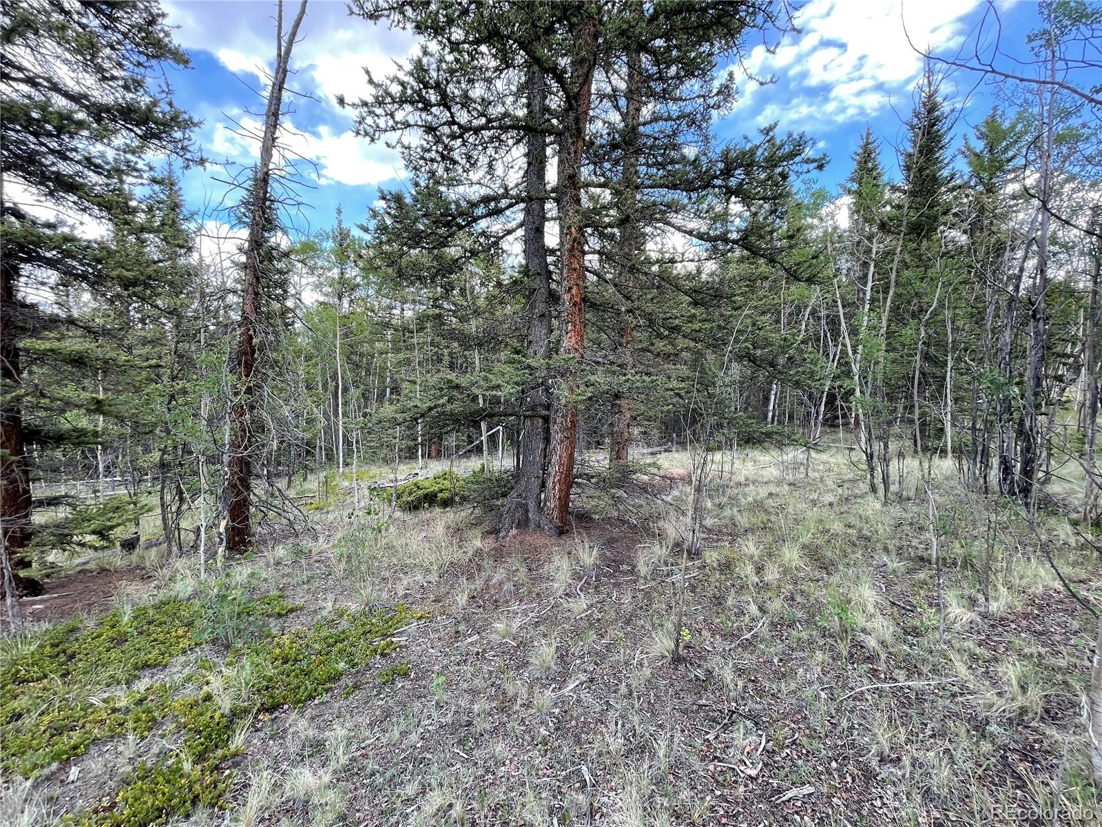 80 Haida Way Jefferson CO 80456