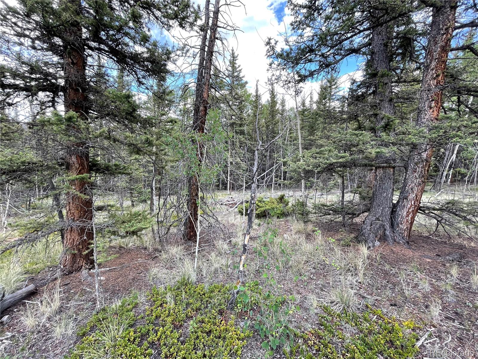 80 Haida Way Jefferson CO 80456