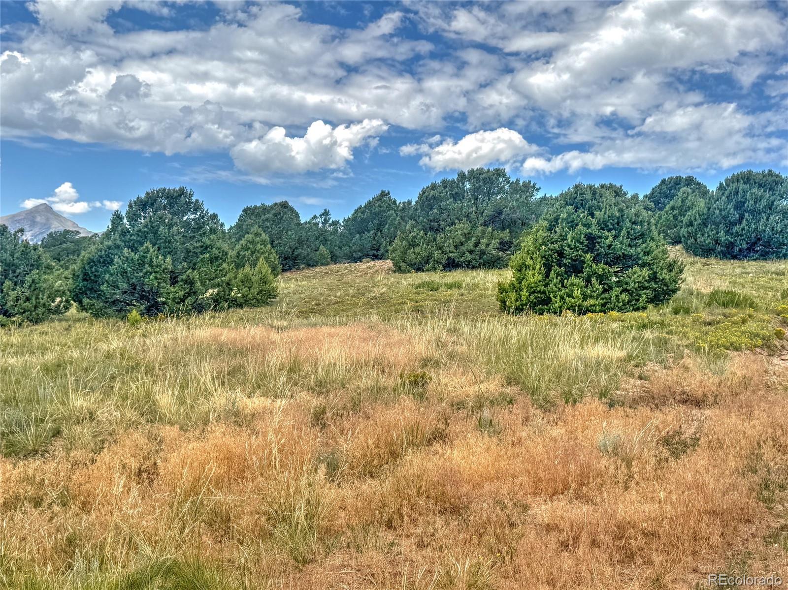 Tbd Lot 21 Kiowa Road Westcliffe CO 81252