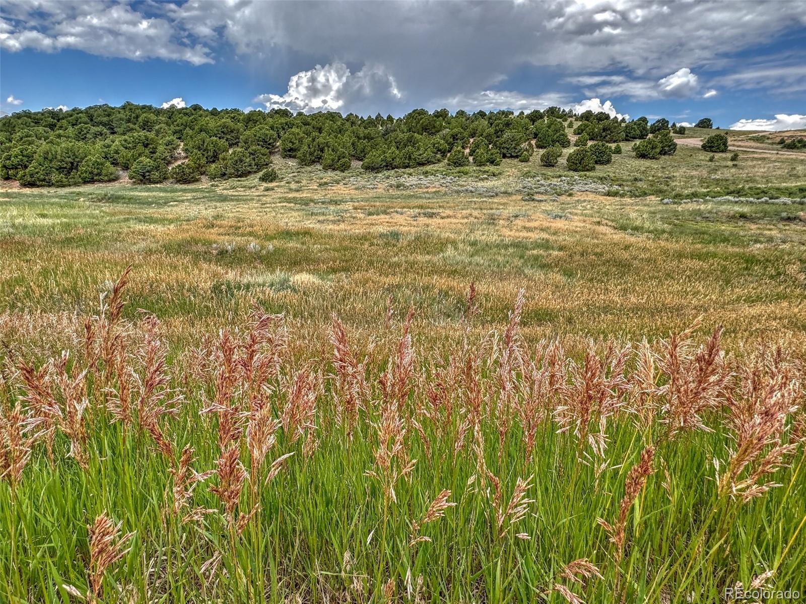 Tbd Lot 21 Kiowa Road Westcliffe CO 81252