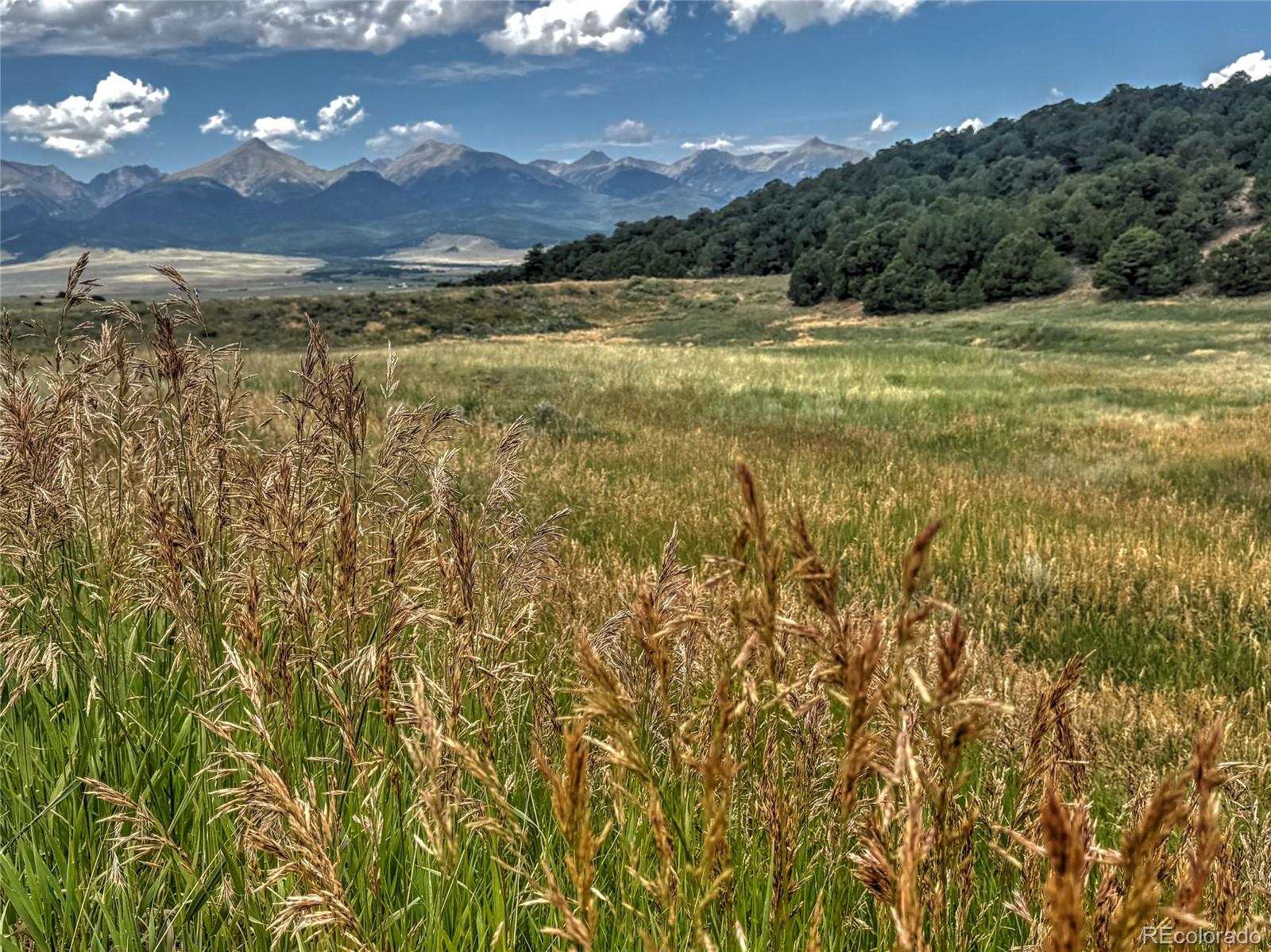Tbd Lot 21 Kiowa Road Westcliffe CO 81252