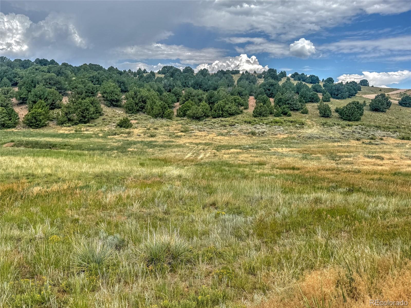 Tbd Lot 21 Kiowa Road Westcliffe CO 81252
