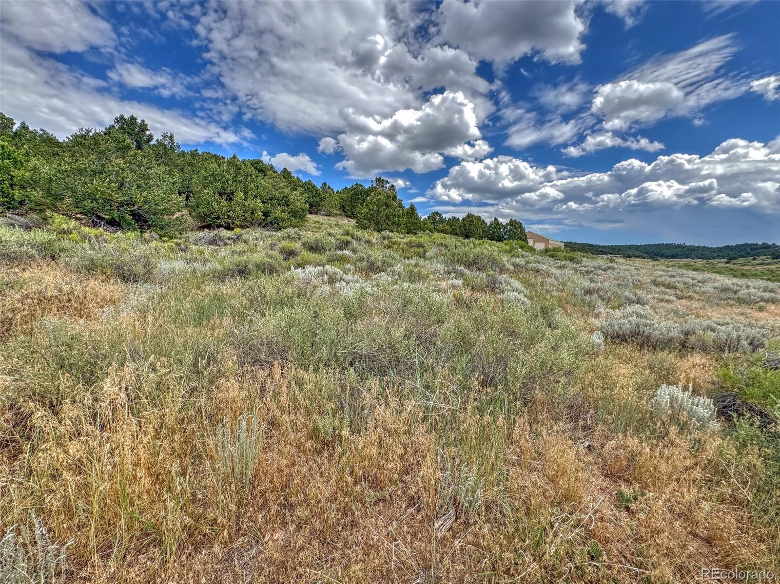 Tbd Lot 21 Kiowa Road Westcliffe CO 81252