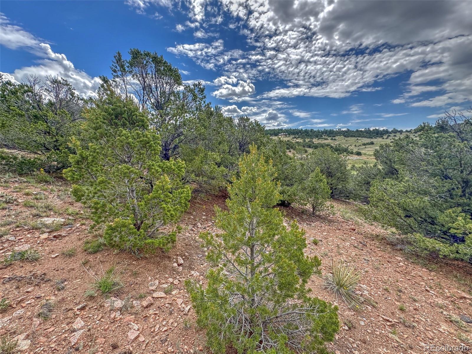 Tbd Lot 21 Kiowa Road Westcliffe CO 81252