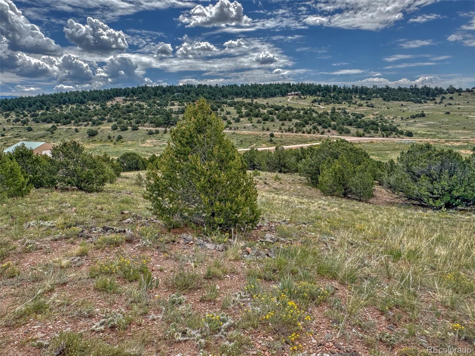 Tbd Lot 21 Kiowa Road Westcliffe CO 81252