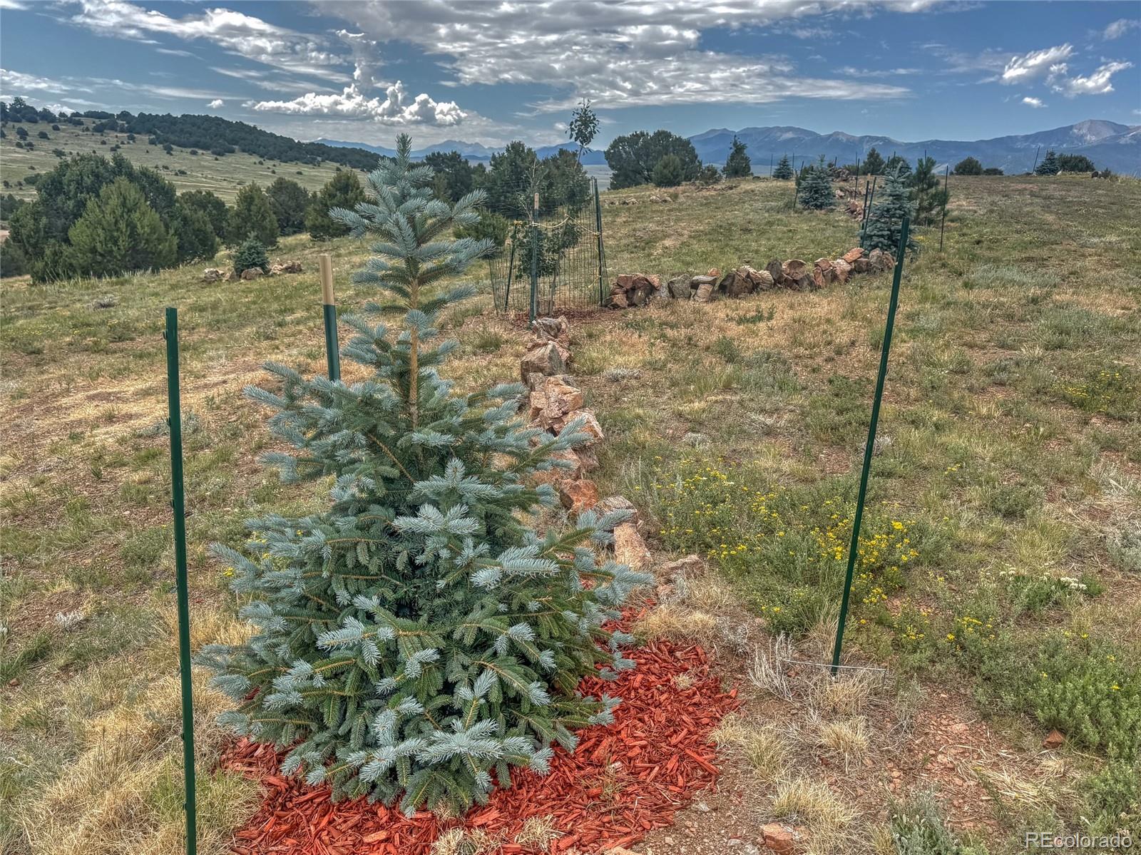 Tbd Lot 21 Kiowa Road Westcliffe CO 81252