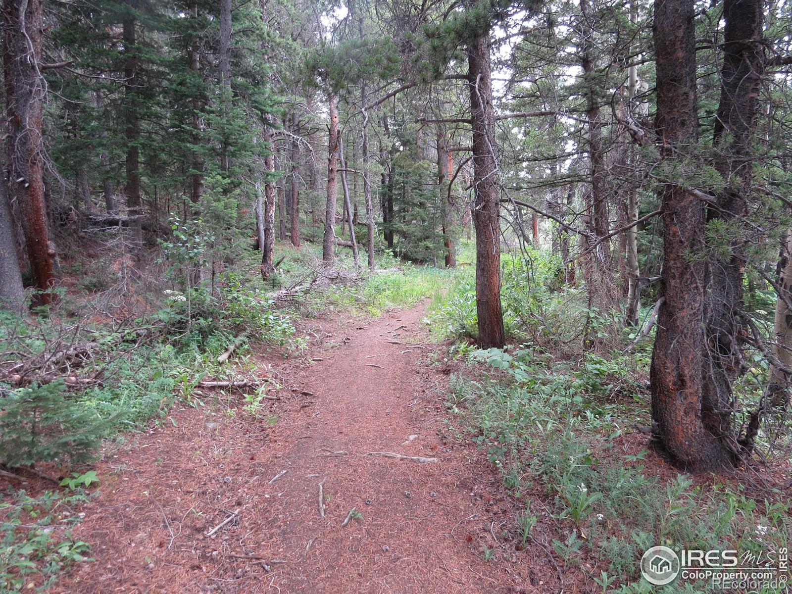 0 Peak To Peak Highway Nederland CO 80466