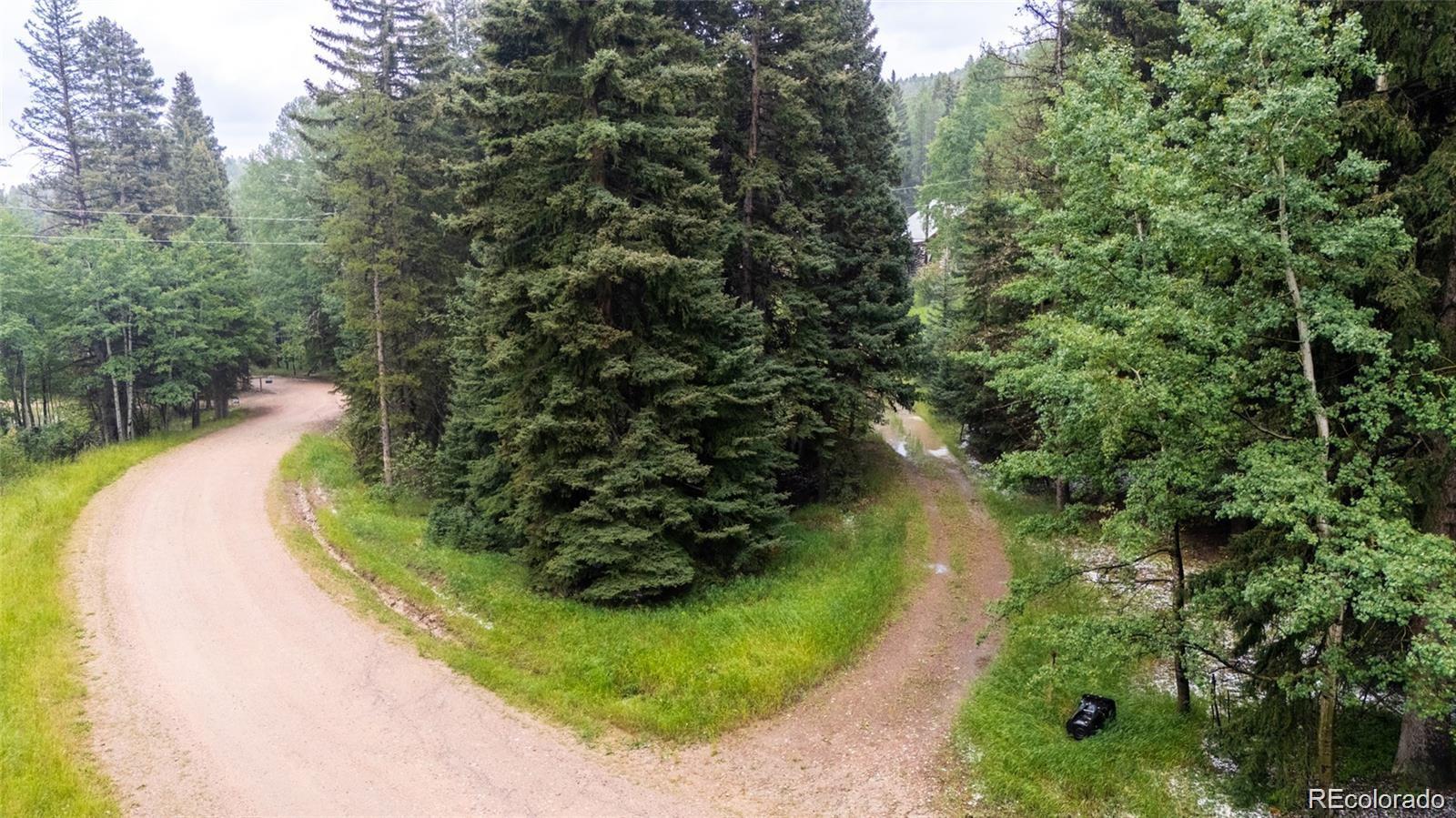11173 S Barney Gulch Road Conifer CO 80433