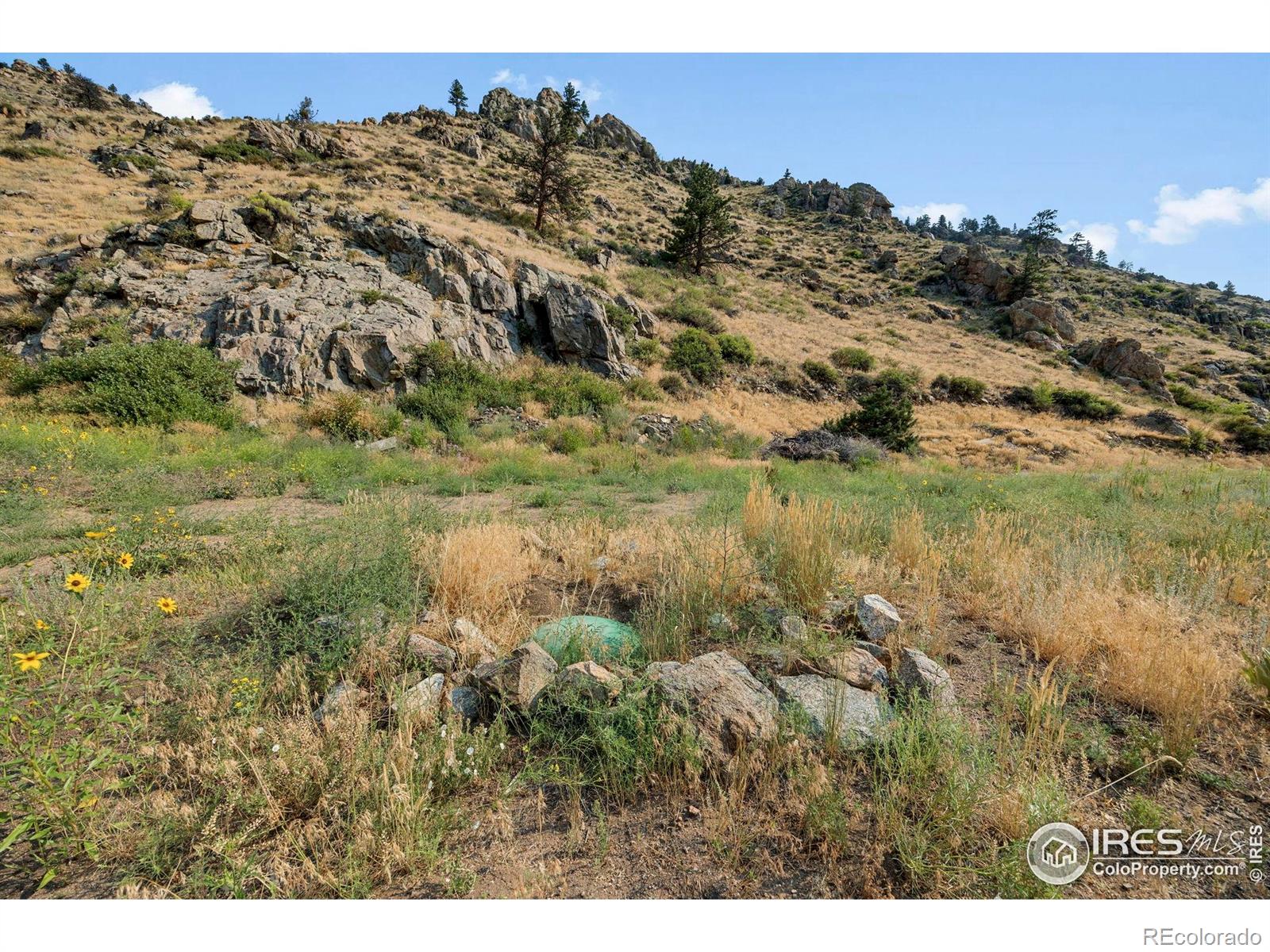 33032 Poudre Canyon Road Bellvue CO 80512