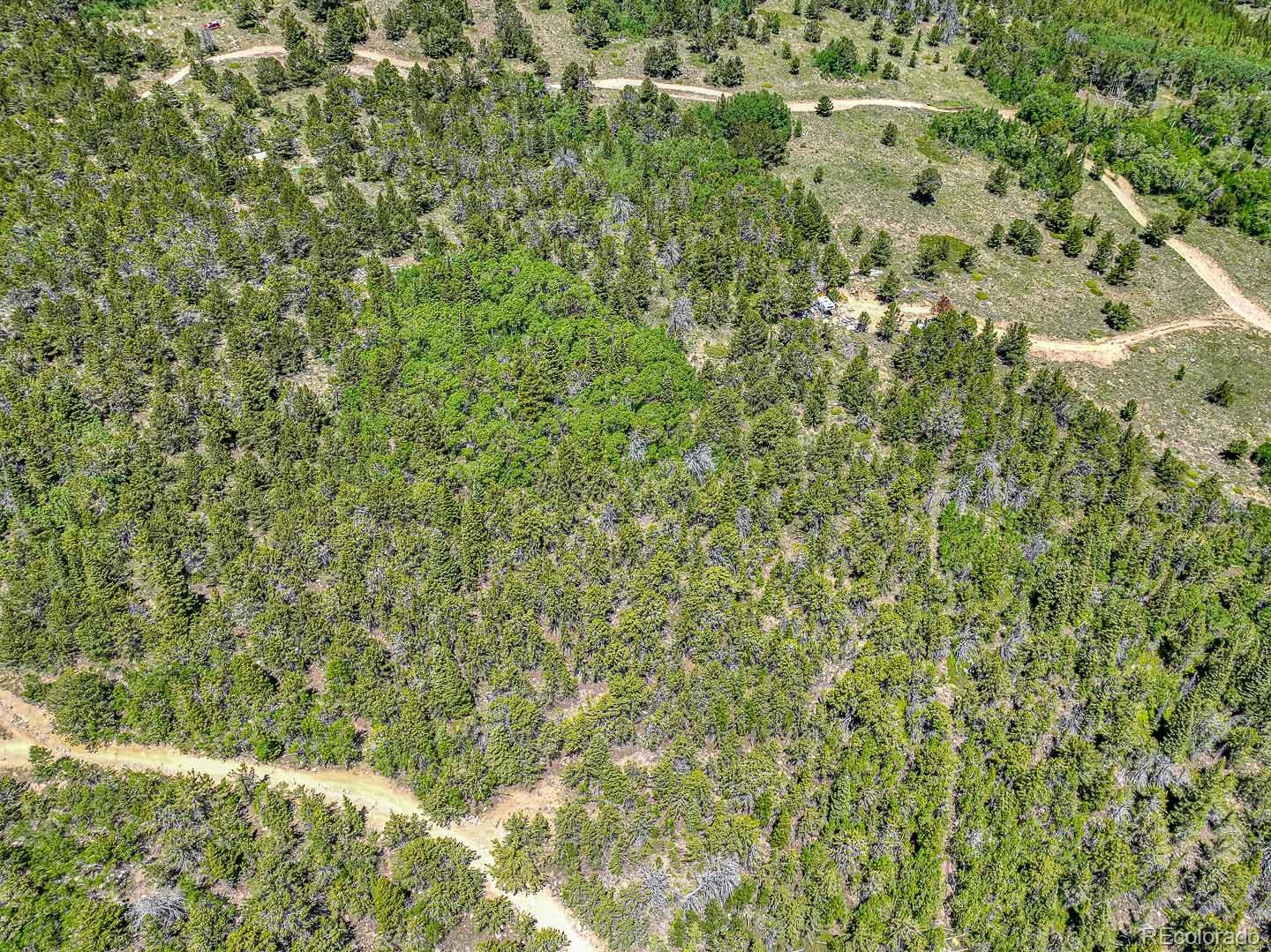 111 Moldavia Claim Black Hawk CO 80427