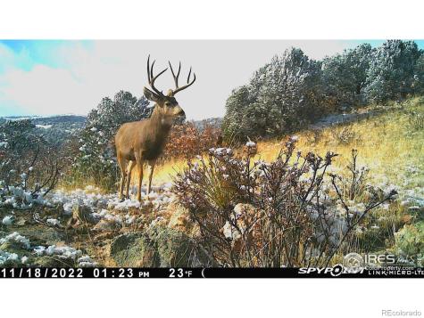0 Cap Rock Roads Canon City CO 81212