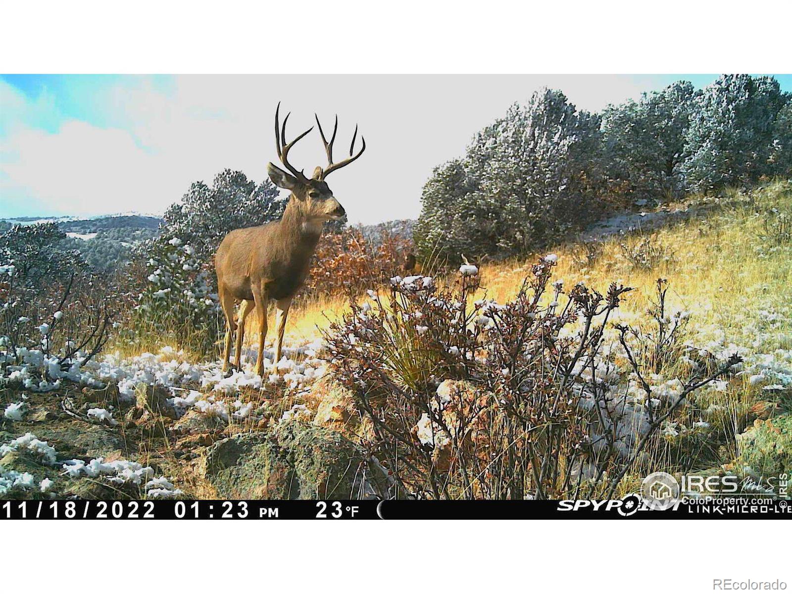 0 Cap Rock Roads Canon City CO 81212