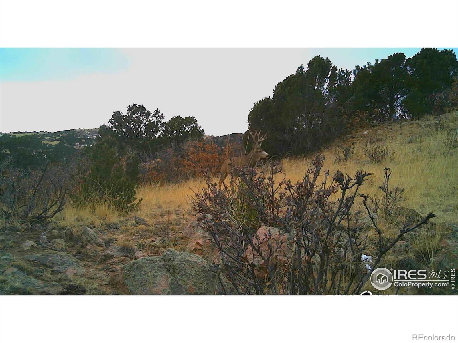 0 Cap Rock Roads Canon City CO 81212