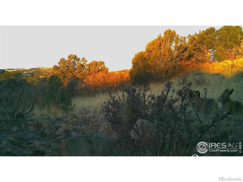 0 Cap Rock Roads Canon City CO 81212