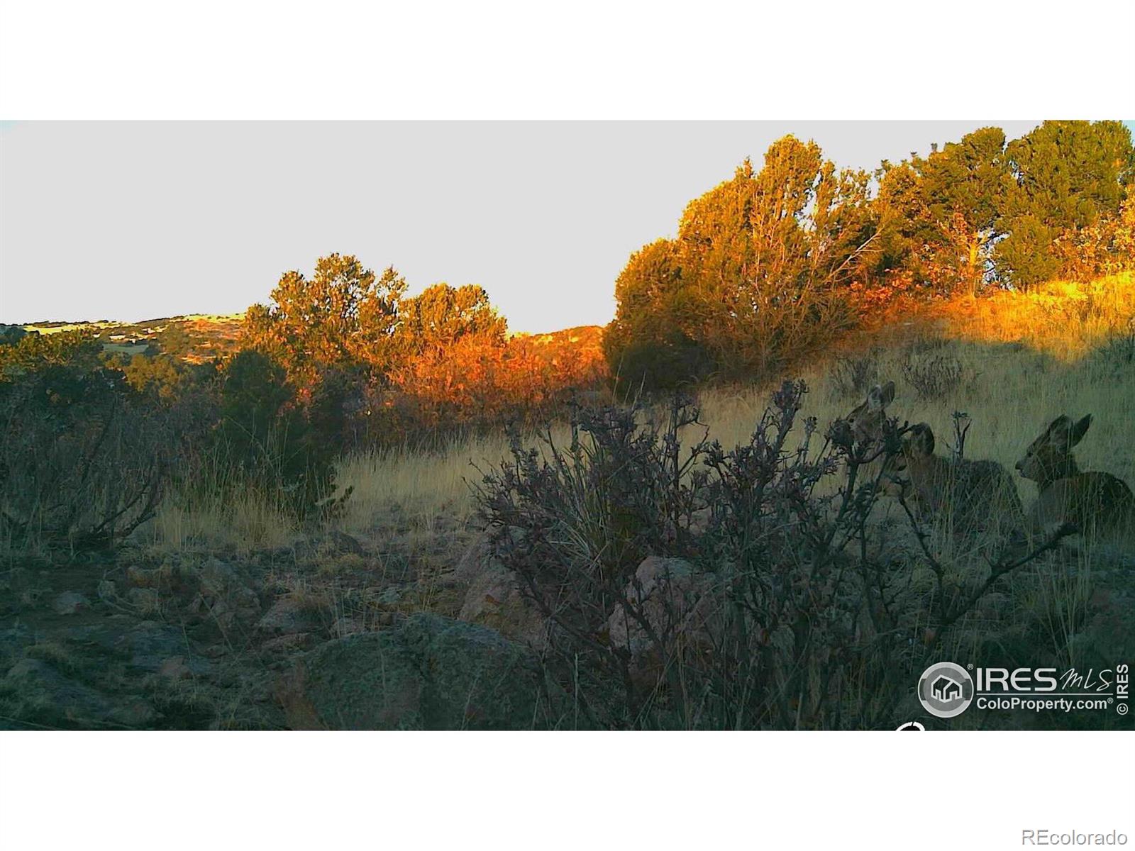 0 Cap Rock Roads Canon City CO 81212