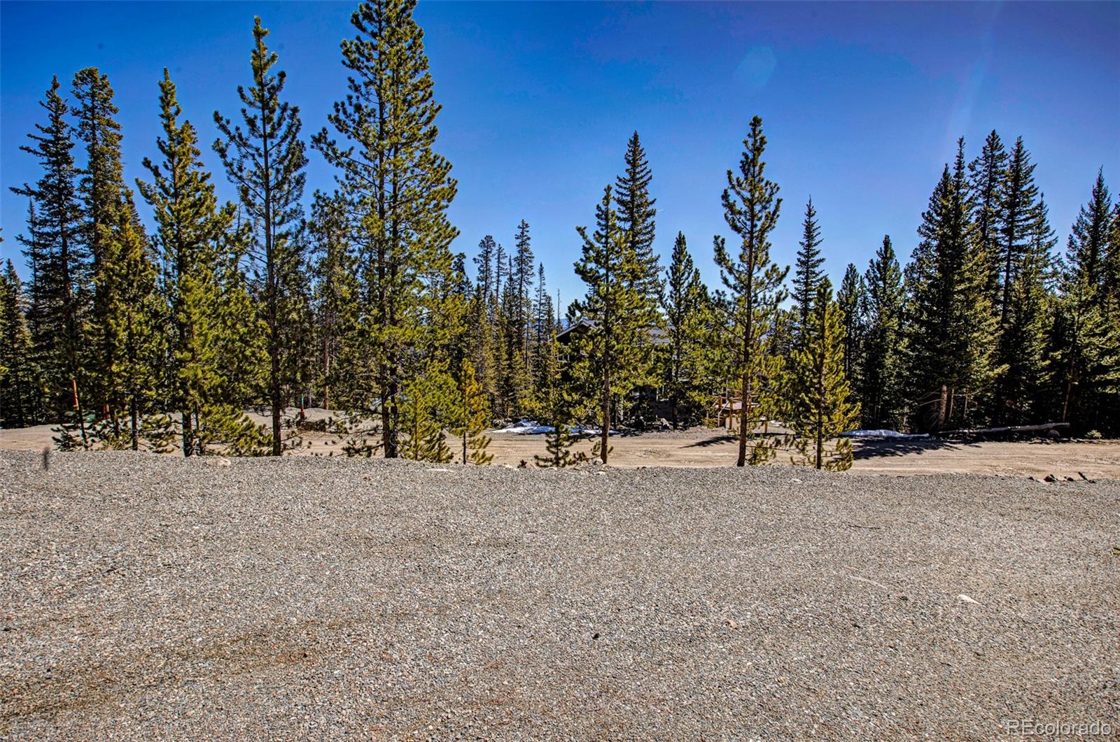 313 Porcupine Road Fairplay CO 80440