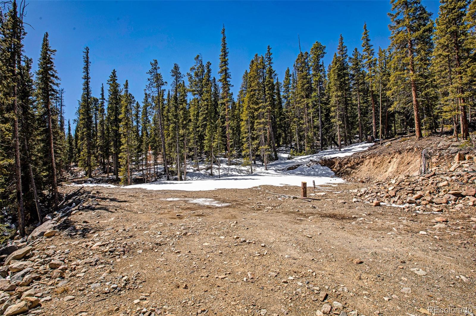 313 Porcupine Road Fairplay CO 80440