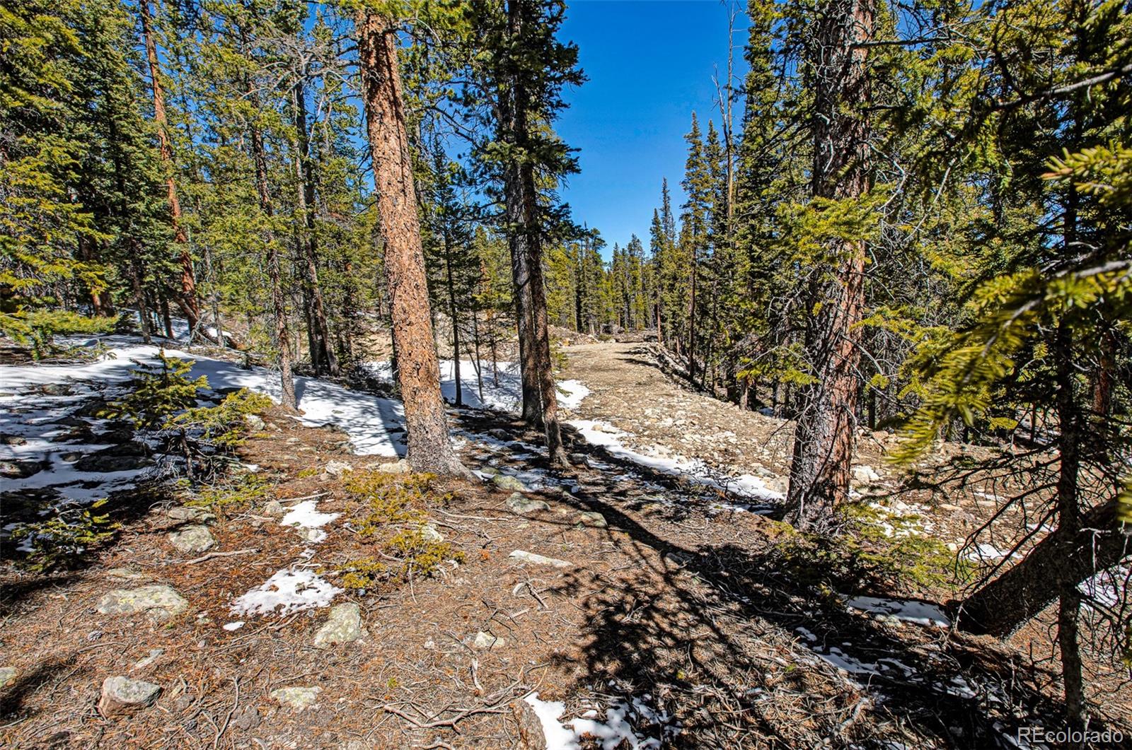 313 Porcupine Road Fairplay CO 80440
