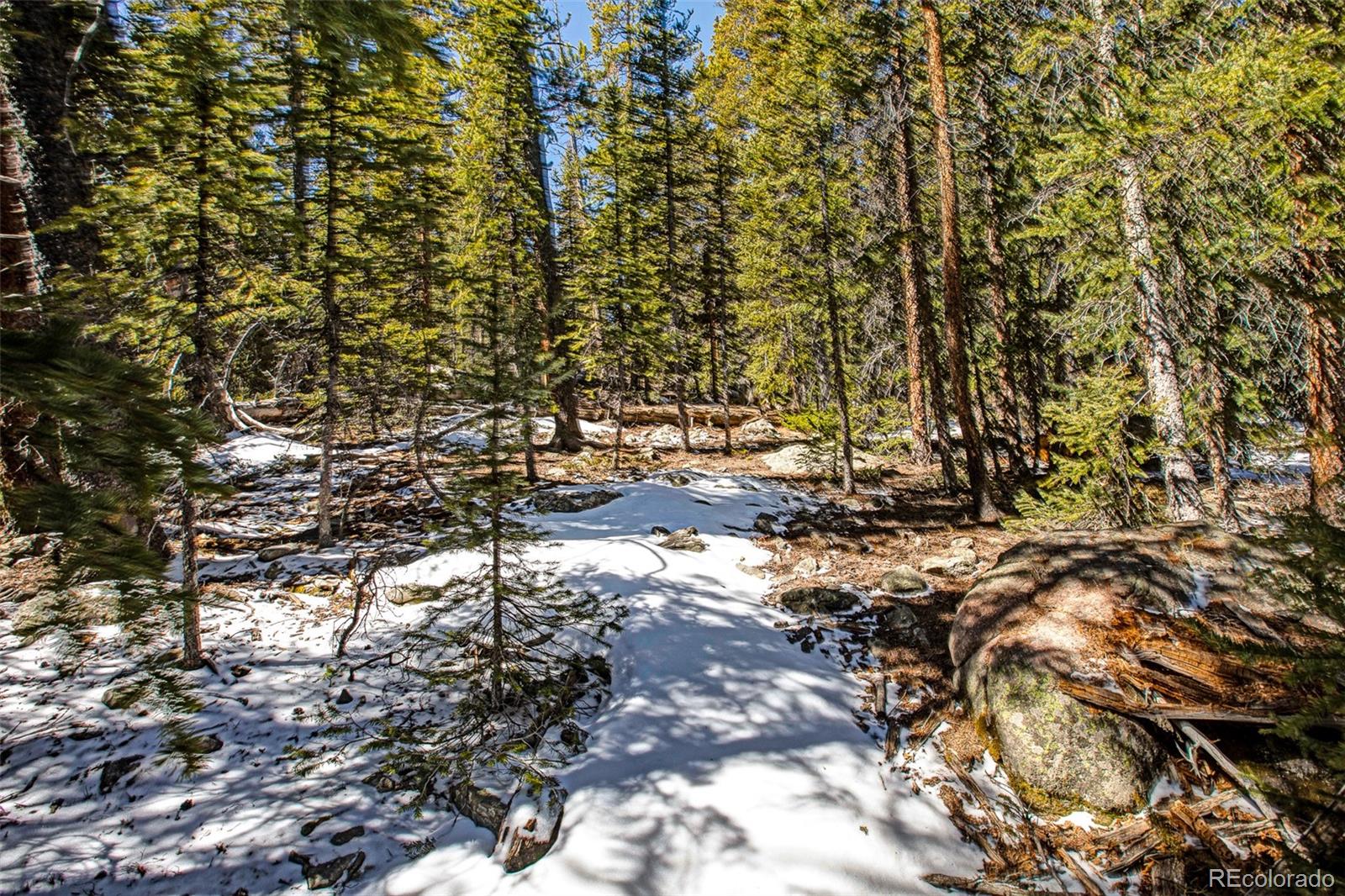 313 Porcupine Road Fairplay CO 80440
