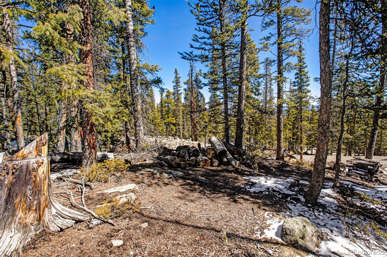 313 Porcupine Road Fairplay CO 80440
