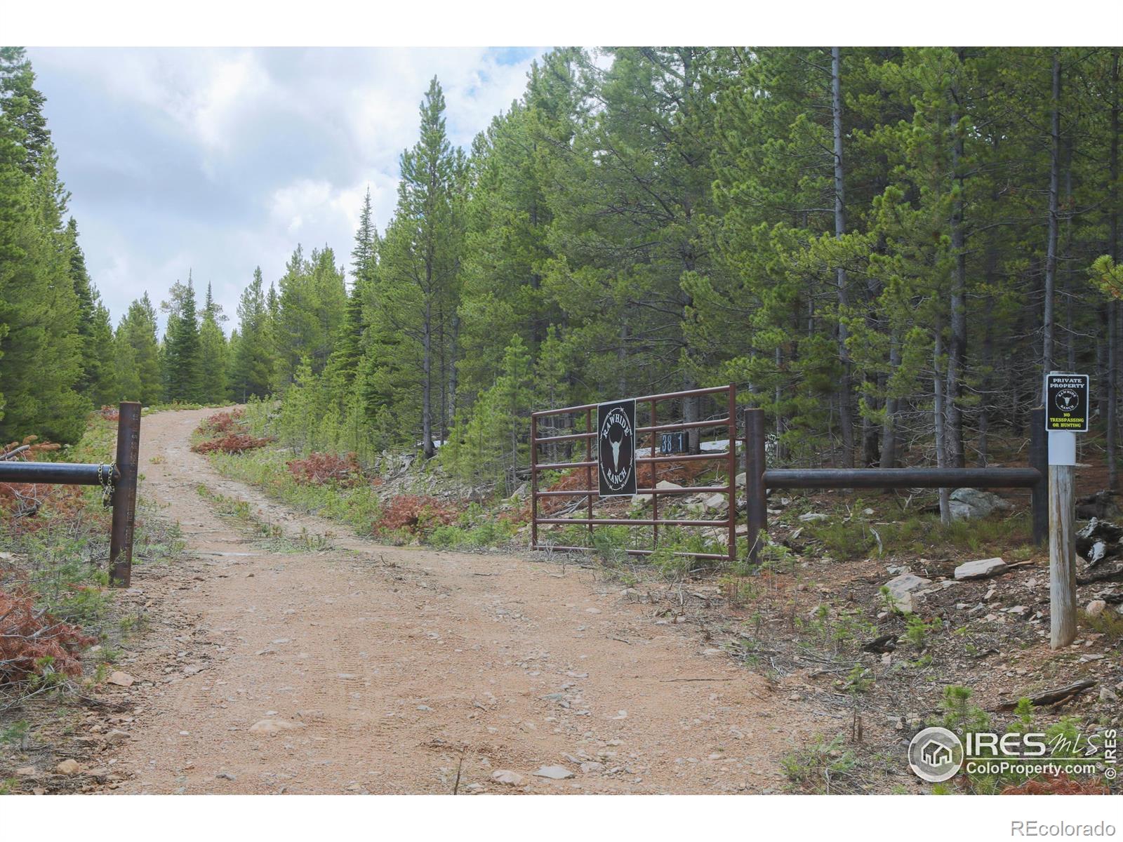 3871 Forest Service 195 Red Feather Lakes CO 80545
