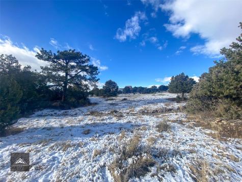 1621 Willow Creek Way Crestone CO 81131