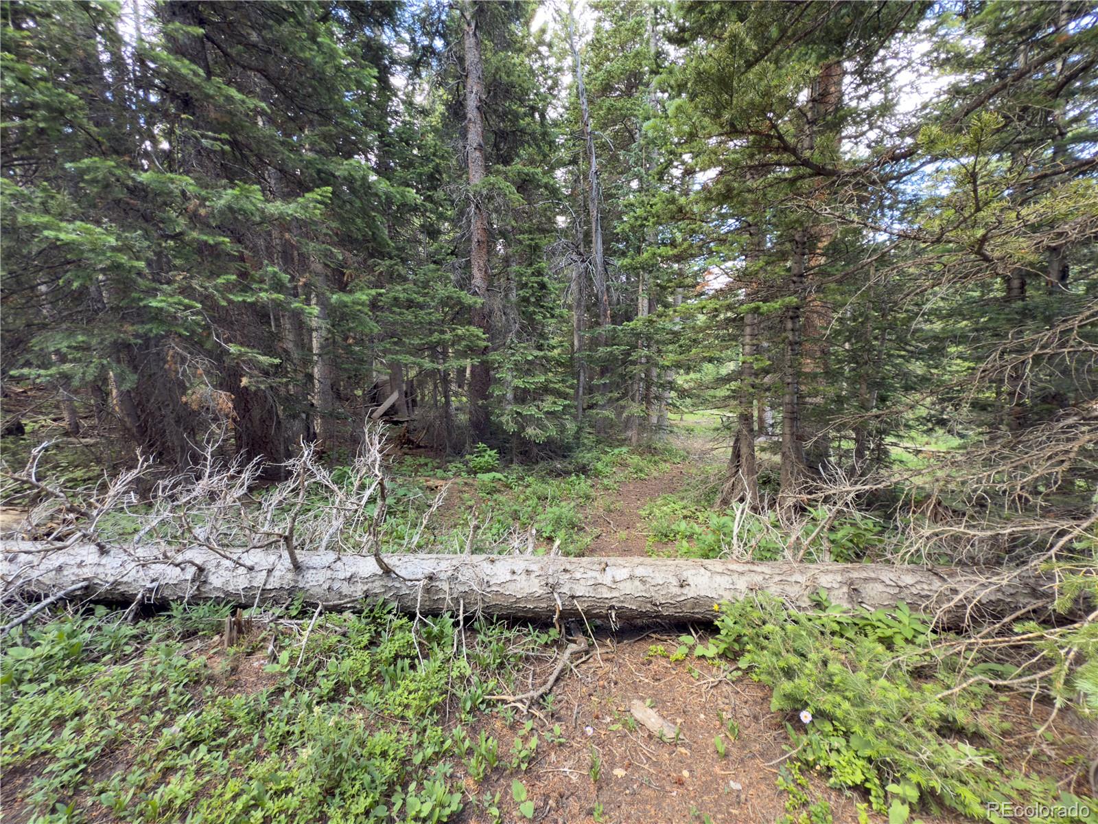 Lot 6 & 7 Brook Drive Idaho Springs CO 80452