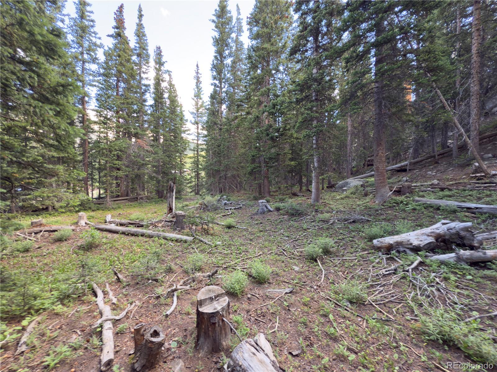 Lot 6 & 7 Brook Drive Idaho Springs CO 80452