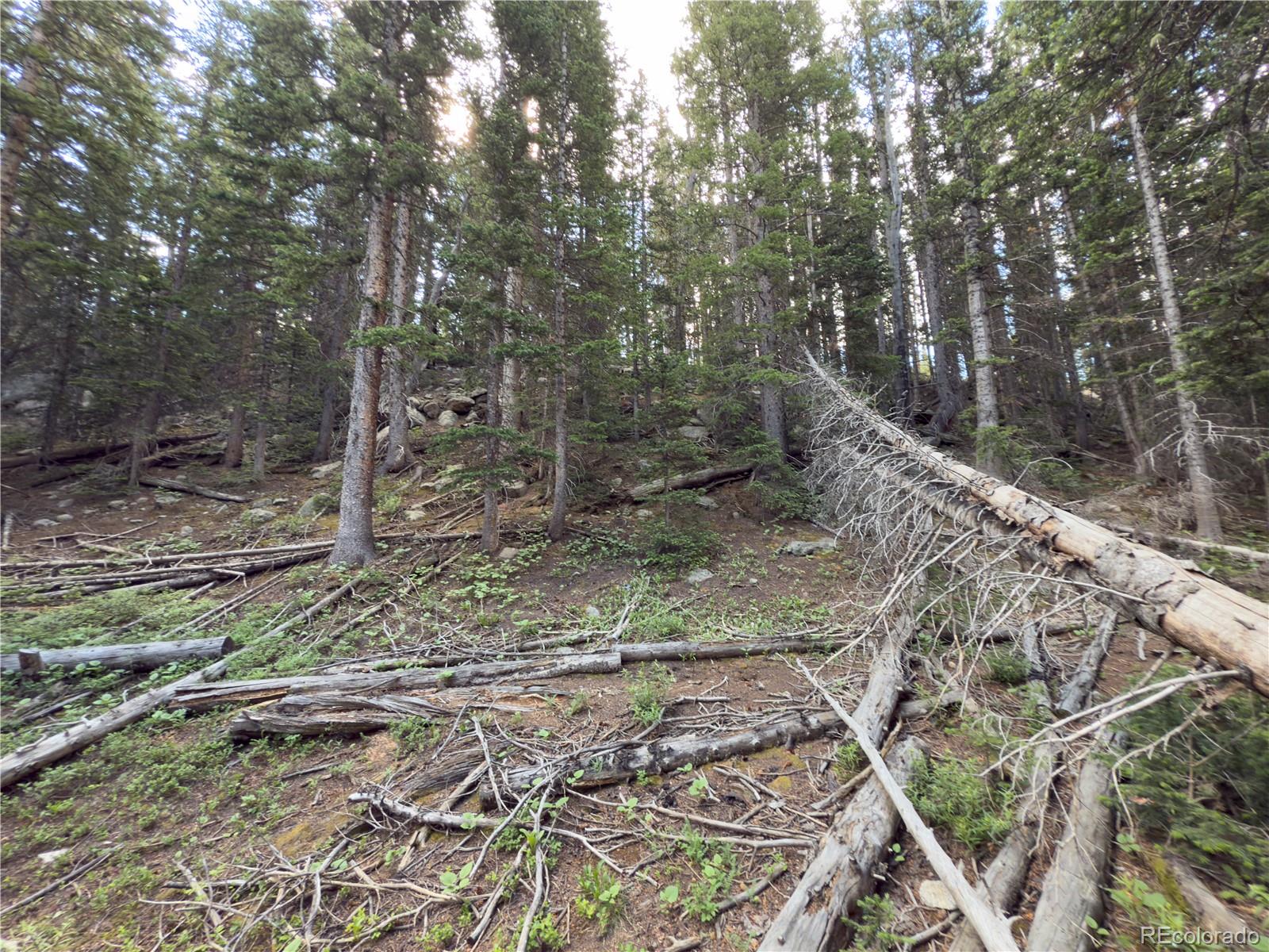 Lot 6 & 7 Brook Drive Idaho Springs CO 80452