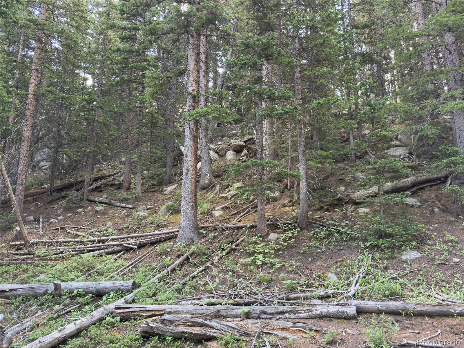 Lot 6 & 7 Brook Drive Idaho Springs CO 80452