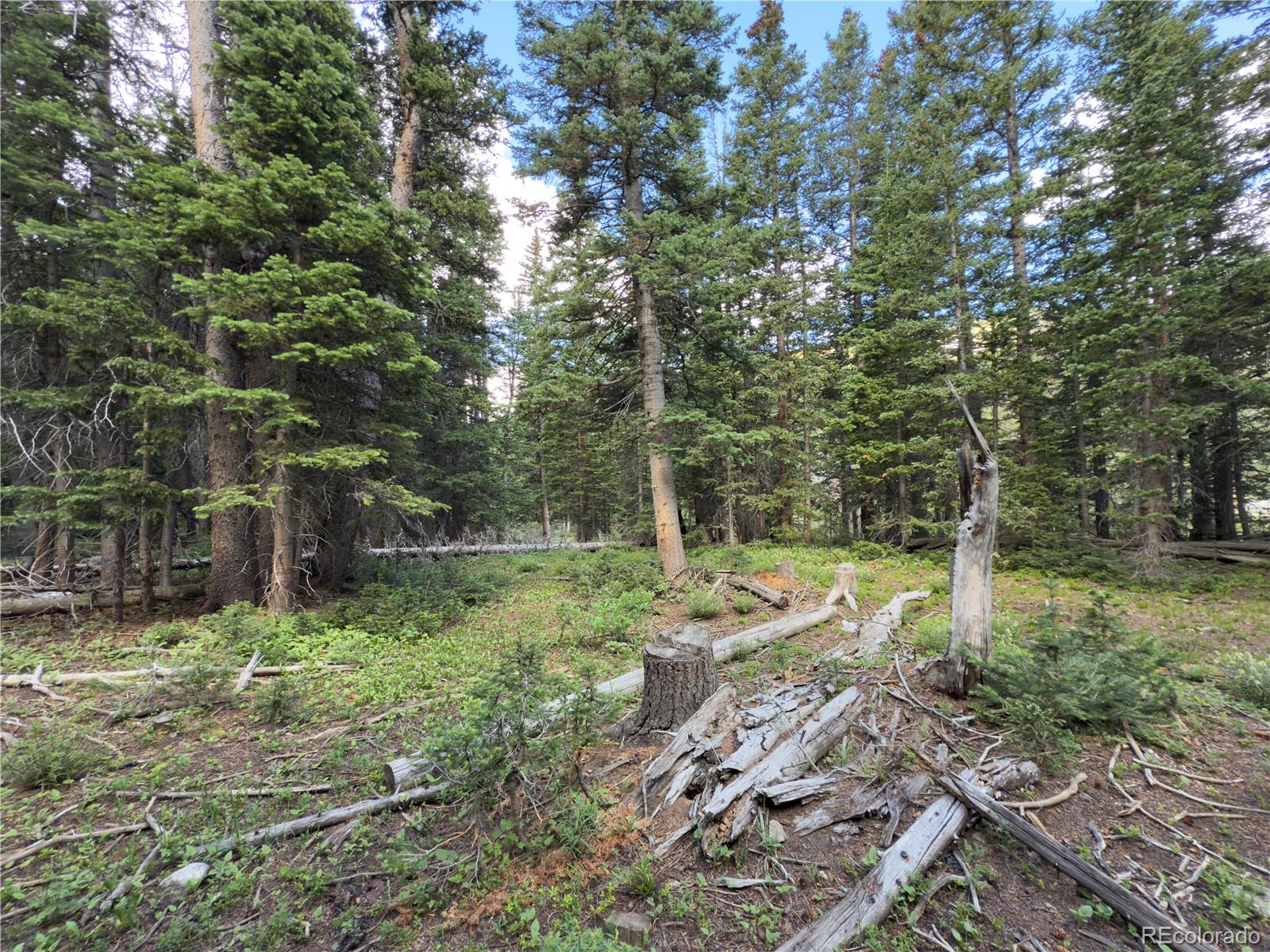 Lot 6 & 7 Brook Drive Idaho Springs CO 80452
