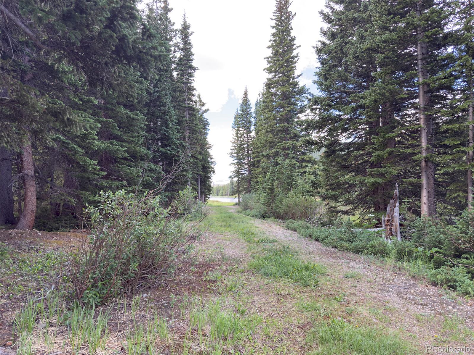 Lot 6 & 7 Brook Drive Idaho Springs CO 80452