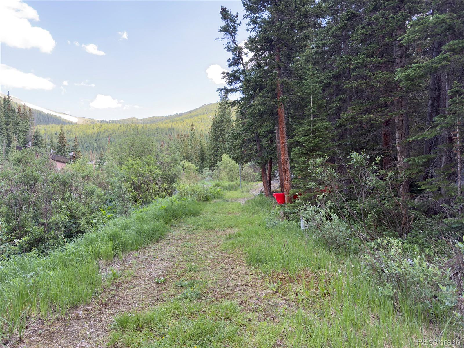 Lot 6 & 7 Brook Drive Idaho Springs CO 80452