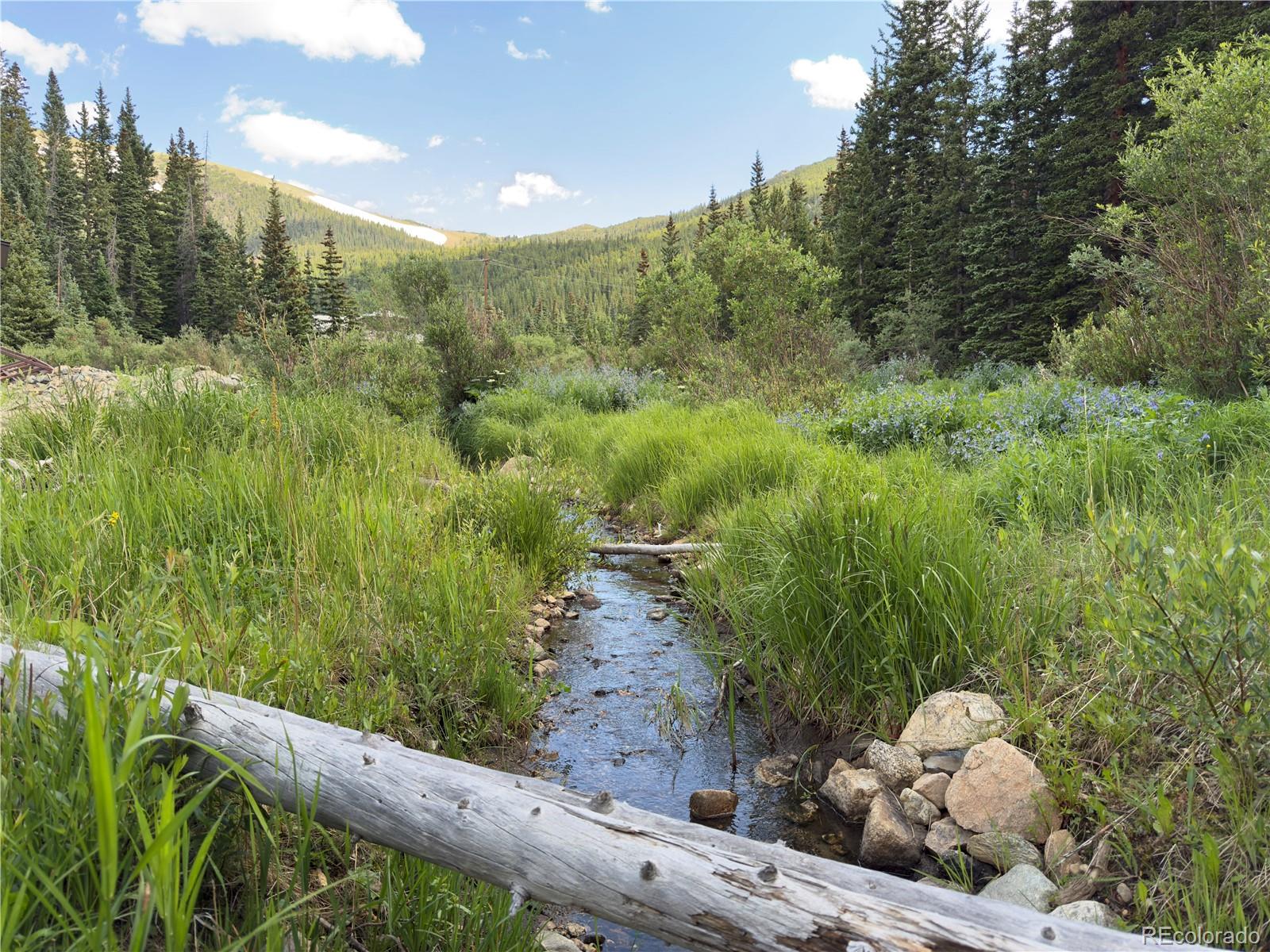 Lot 6 & 7 Brook Drive Idaho Springs CO 80452