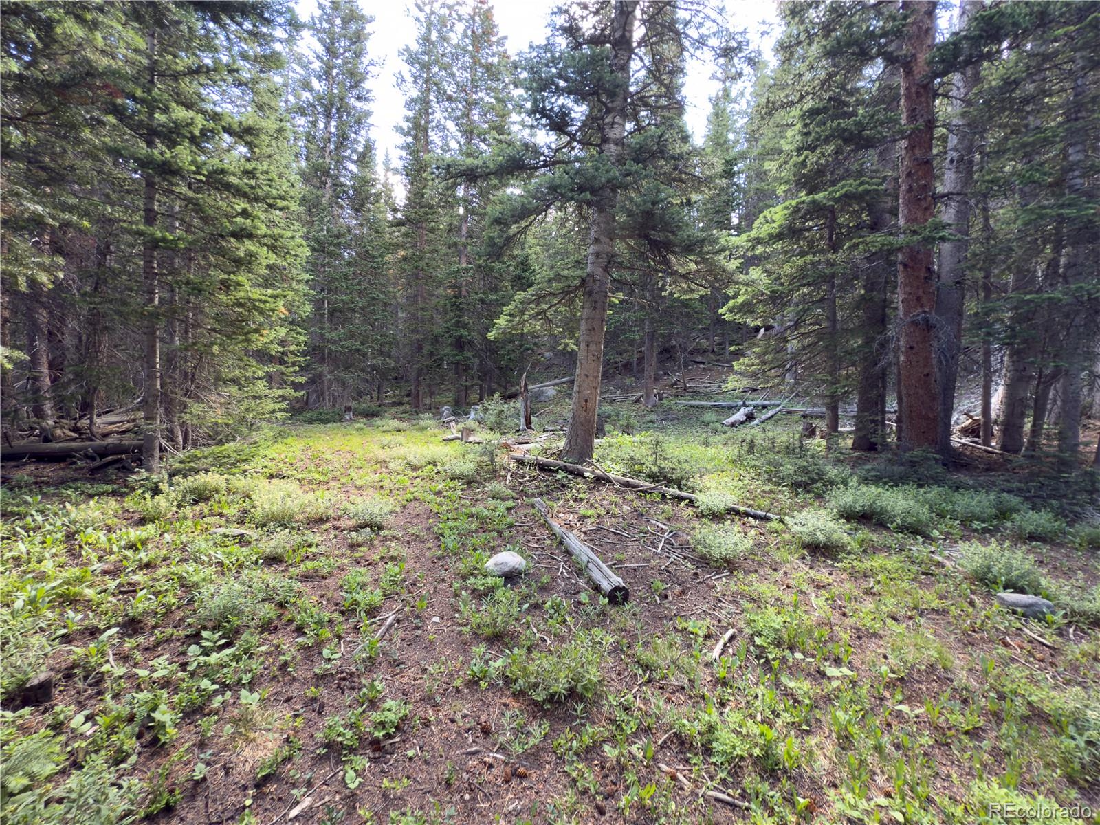 Lot 6 & 7 Brook Drive Idaho Springs CO 80452