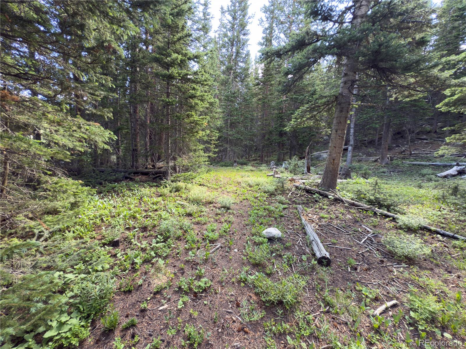 Lot 6 & 7 Brook Drive Idaho Springs CO 80452