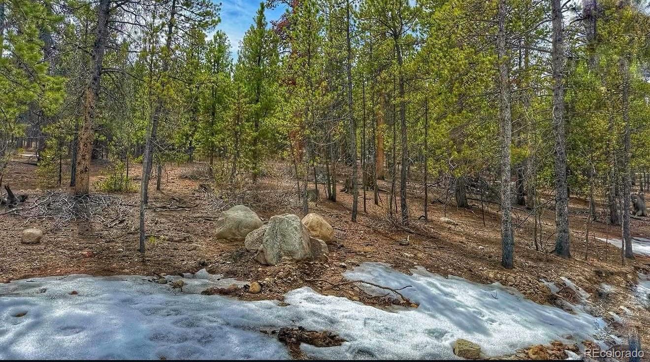 66 Mount Massive Road Twin Lakes CO 81251