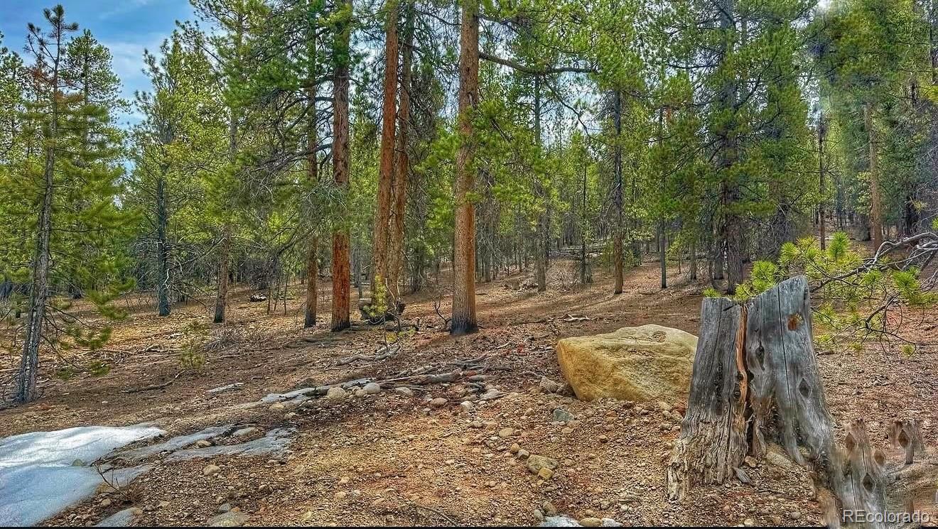 66 Mount Massive Road Twin Lakes CO 81251