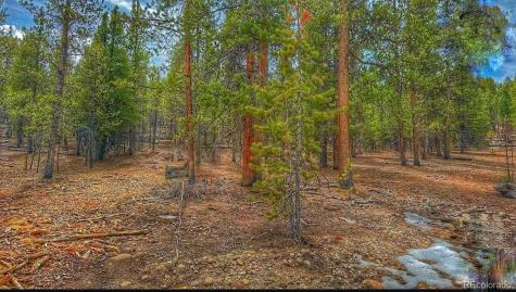 66 Mount Massive Road Twin Lakes CO 81251