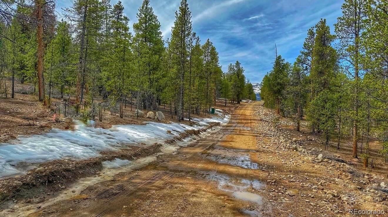66 Mount Massive Road Twin Lakes CO 81251