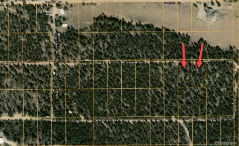 66 Mount Massive Road Twin Lakes CO 81251