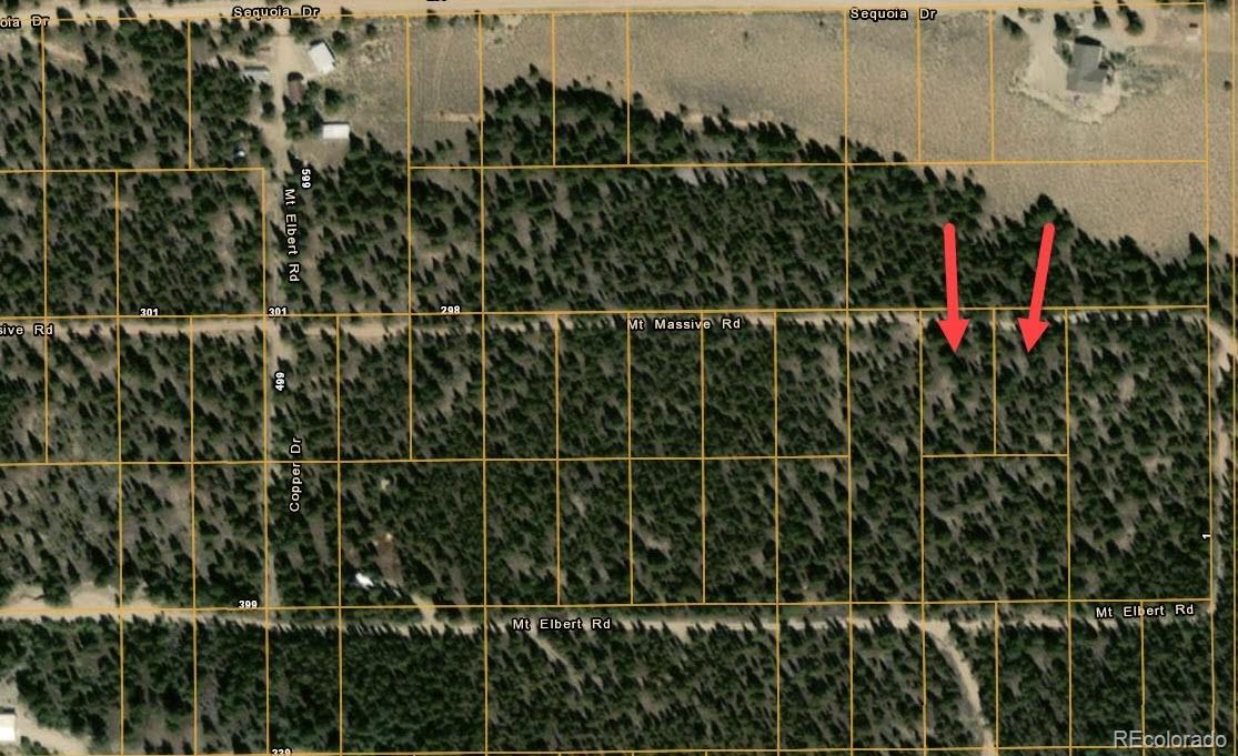 66 Mount Massive Road Twin Lakes CO 81251