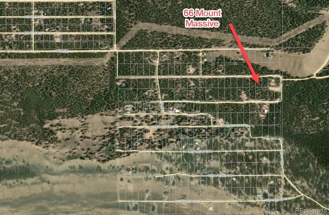 66 Mount Massive Road Twin Lakes CO 81251