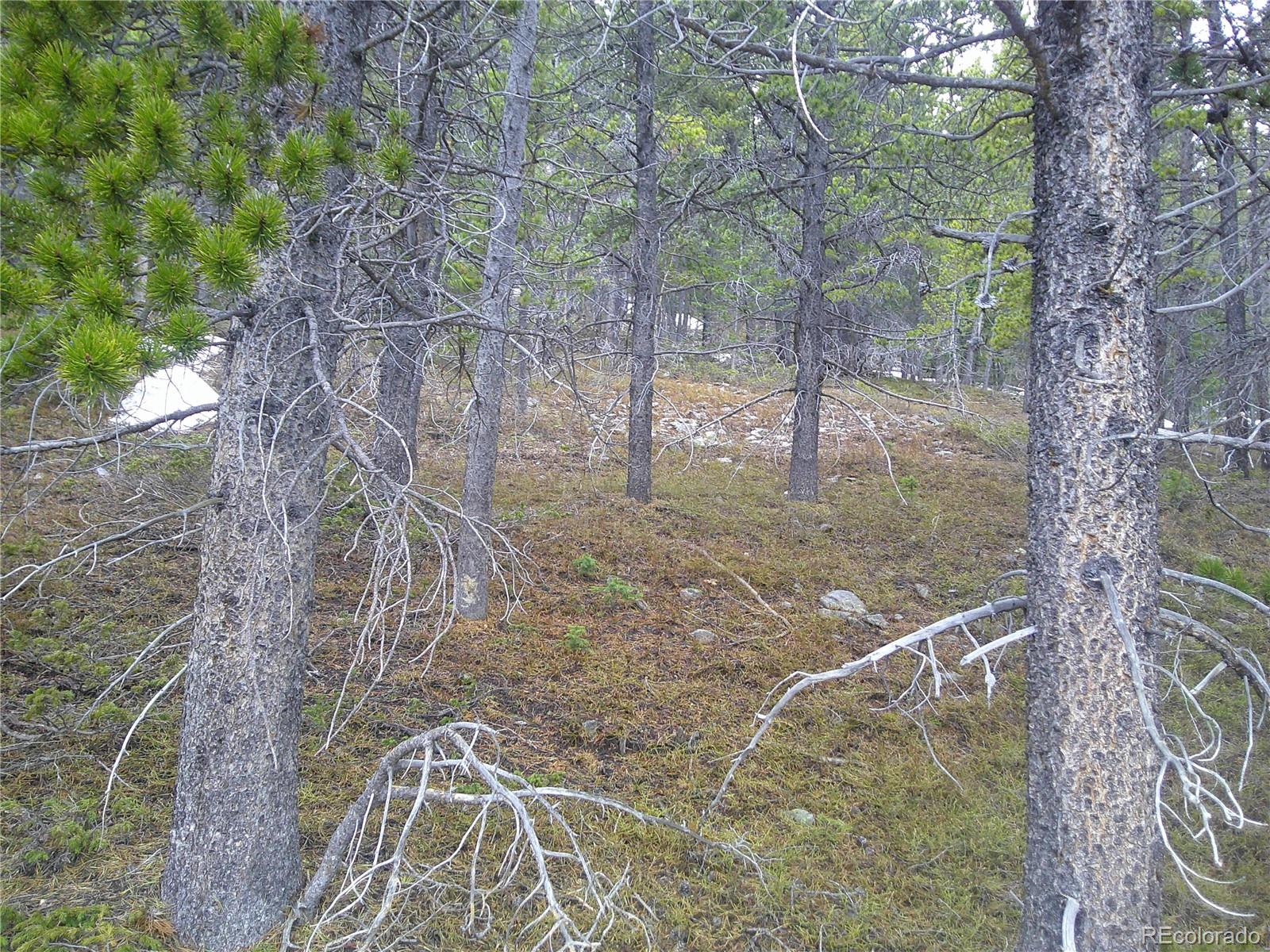 Lot 417 Glory Hole Road Idaho Springs CO 80452