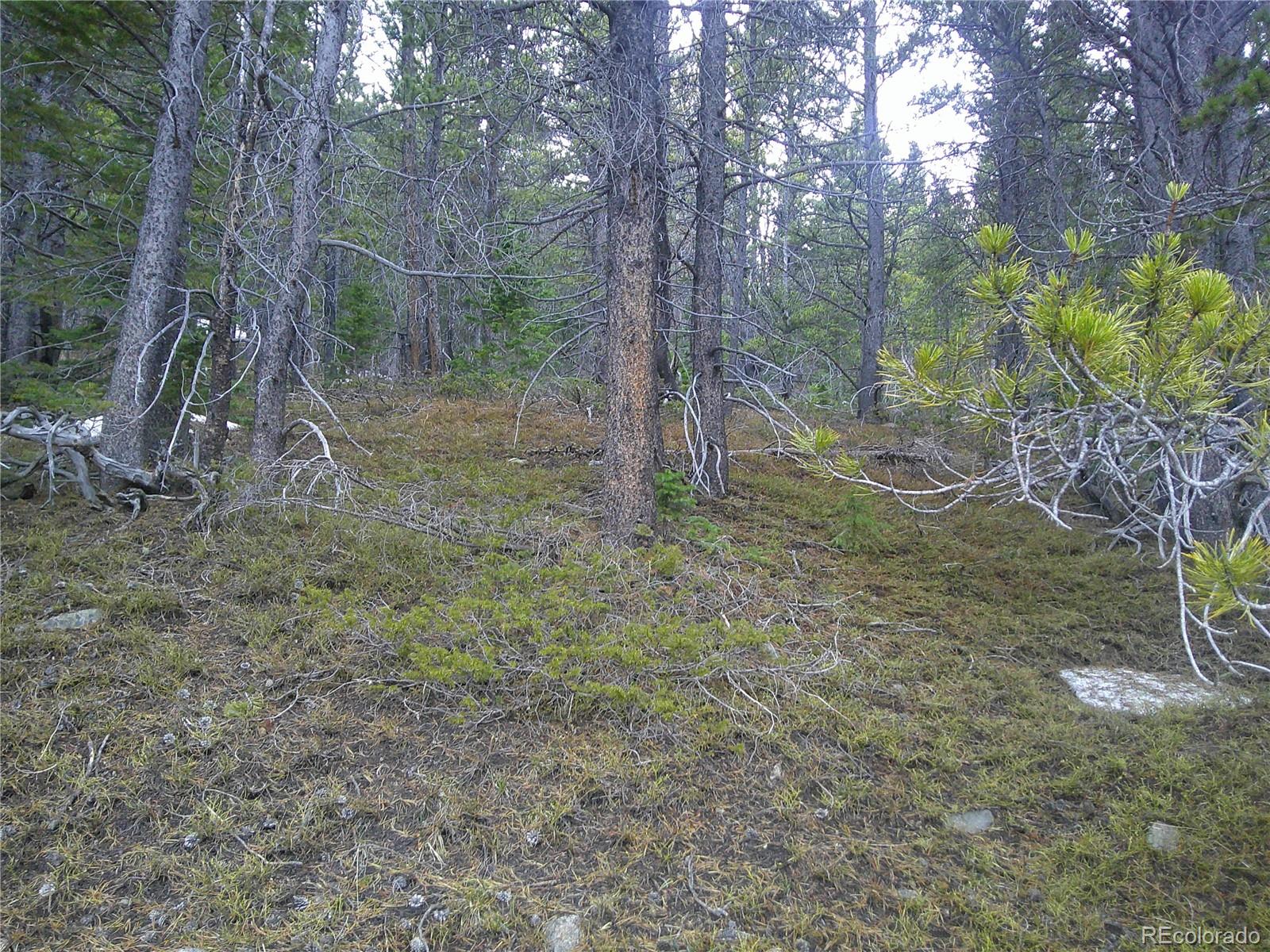 Lot 417 Glory Hole Road Idaho Springs CO 80452